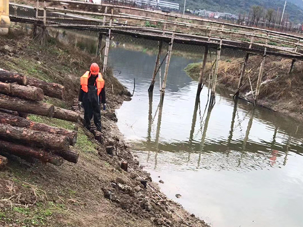 河道松木樁