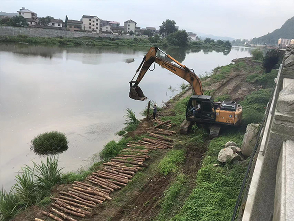 河道松木樁